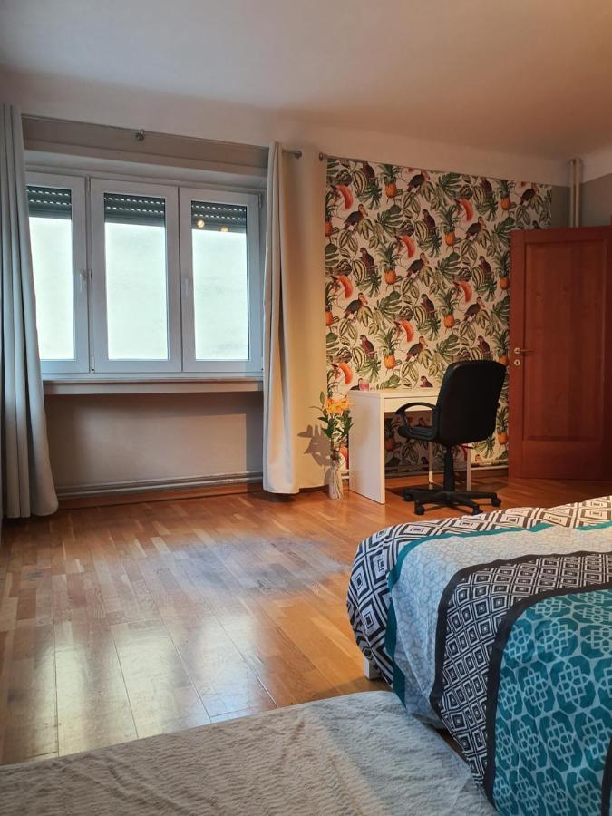 Vivacity Dudelange Eksteriør billede